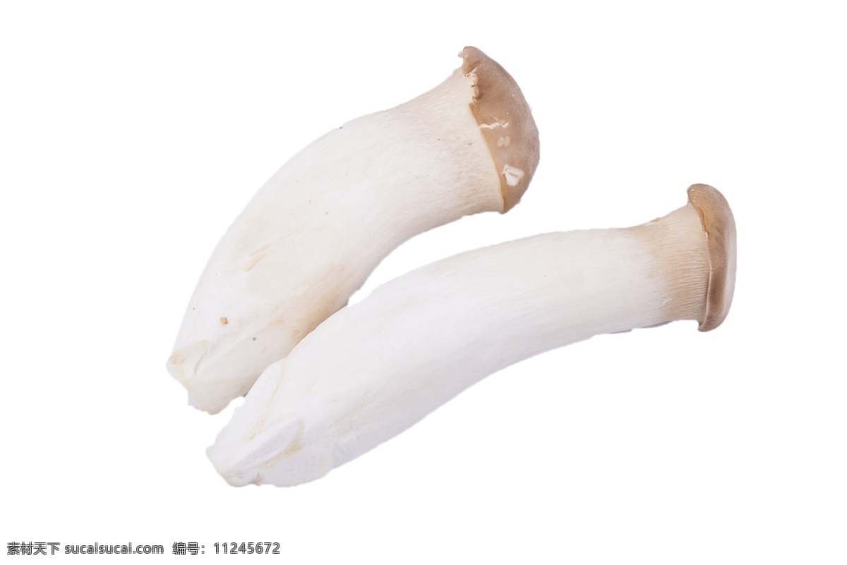 美味 清香 可口 蘑菇 可口的 植物 食材 蔬菜 食用 安全 餐桌 清炒 菌类食品 野生 绿色