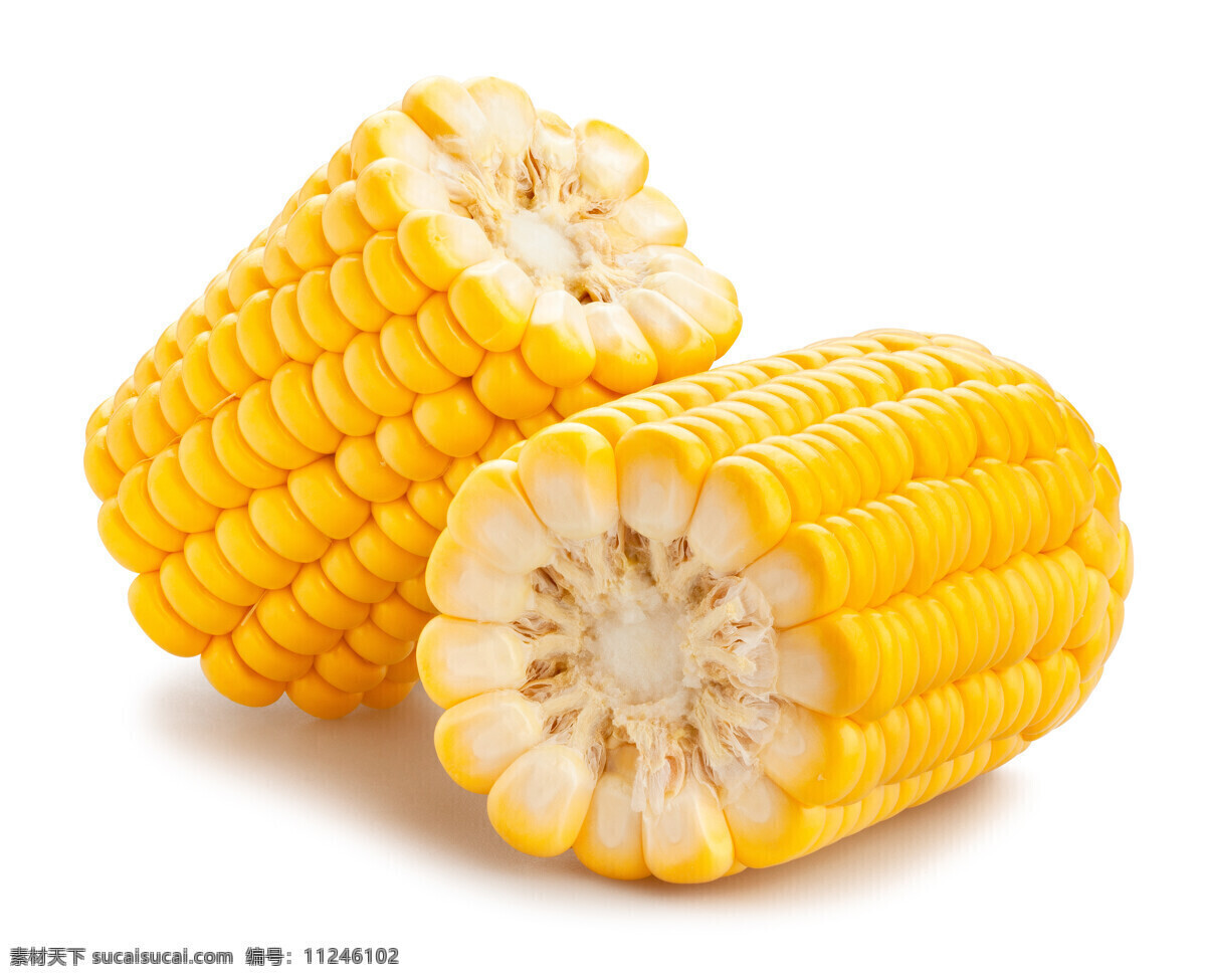 玉米棒 甜玉米 包谷 苞米 棒子 玉米棒子 食物原料 五谷杂粮 各种蔬菜 生物世界 蔬菜