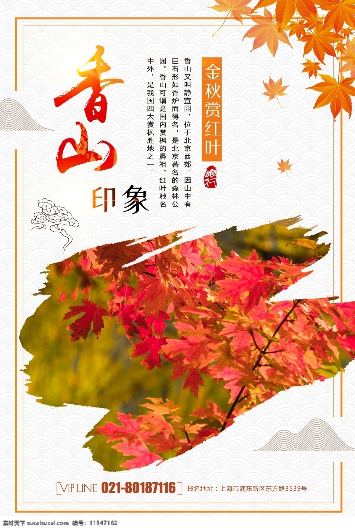 香山印象海报 香山 枫叶 红叶 红枫 旅游 出行 北京香山 赏枫叶 秋季旅游 秋天 旅行 秋游 秋季出行 海报 秋季