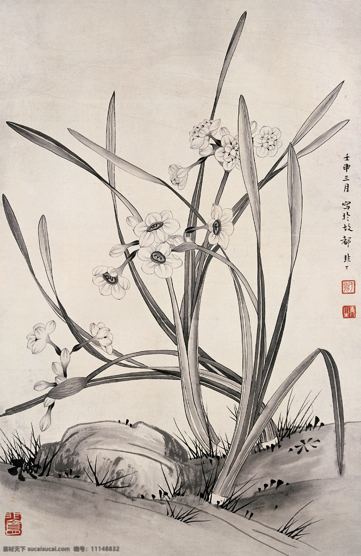 水仙 山石 野草 山花 古典 国画 于非闇 工笔 花鸟 名家工笔花鸟 绘画书法 文化艺术