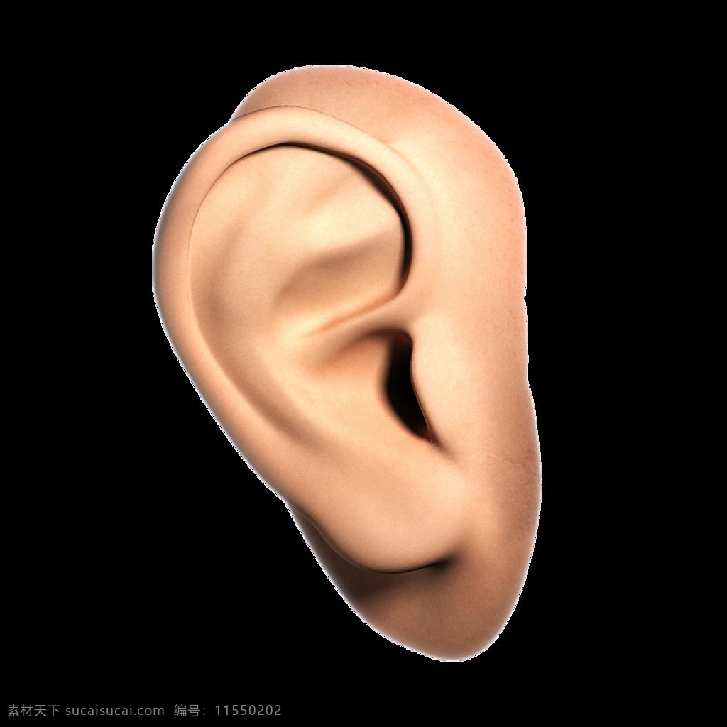 漂亮 人 耳朵 免 抠 透明 图 层 漂亮人耳朵 耳朵卡通图片 人耳朵 大耳朵 大耳朵图 卡通 人耳朵图片 卡通耳朵素材 耳朵照片 耳朵设计素材 耳朵素材