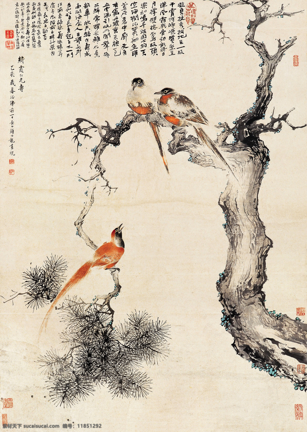 植物 树枝 花鸟 中国 风 国画 中国风 竖 长方形 绘画 水墨画 彩色 颜伯龙 文化艺术 绘画书法