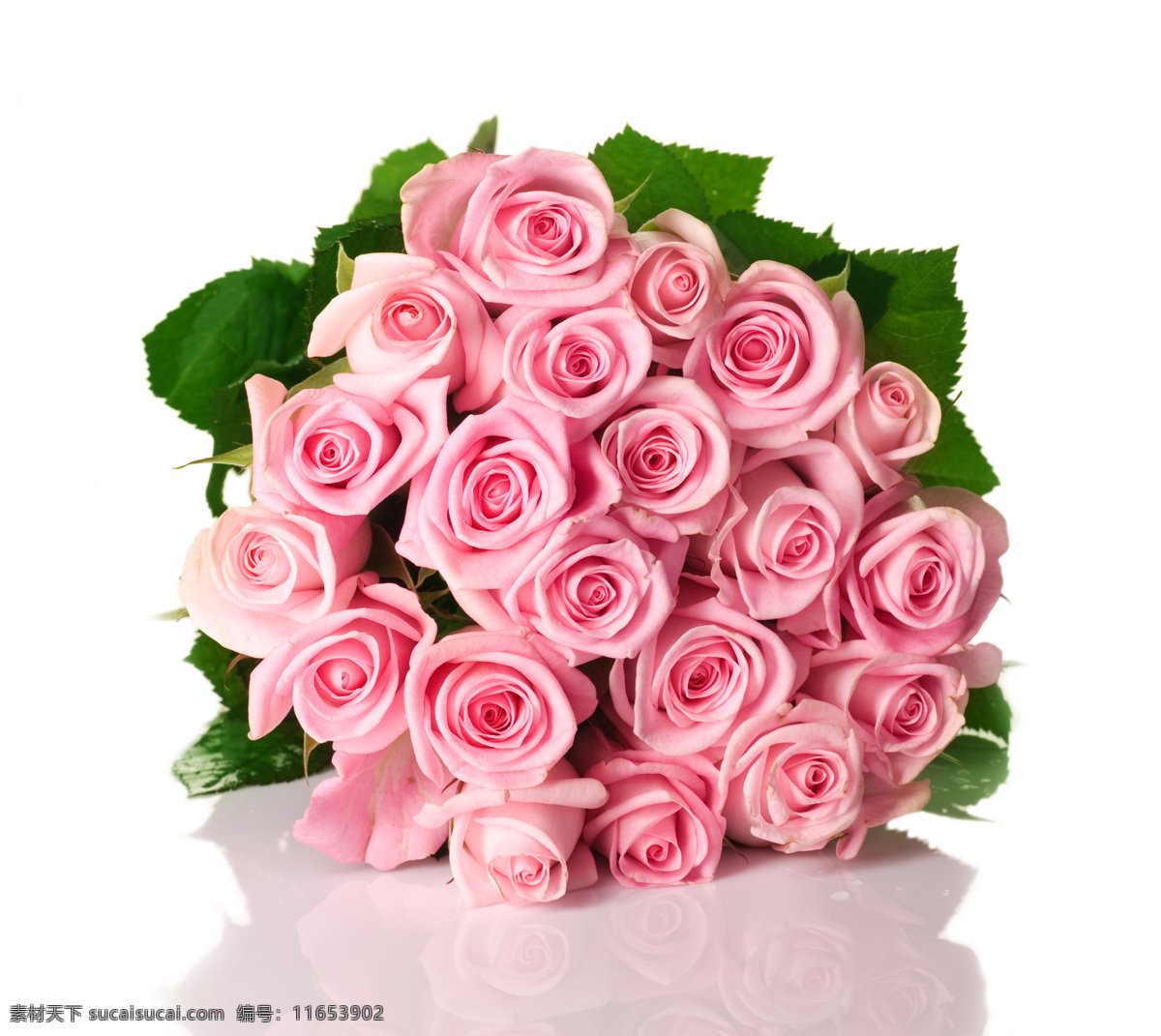 唯美背影 玫瑰花图片 玫瑰花素材 玫瑰花模板 玫瑰花背景 花朵 情人节玫瑰花 多色玫瑰花 粉红玫瑰 玫瑰花 生物世界 花草