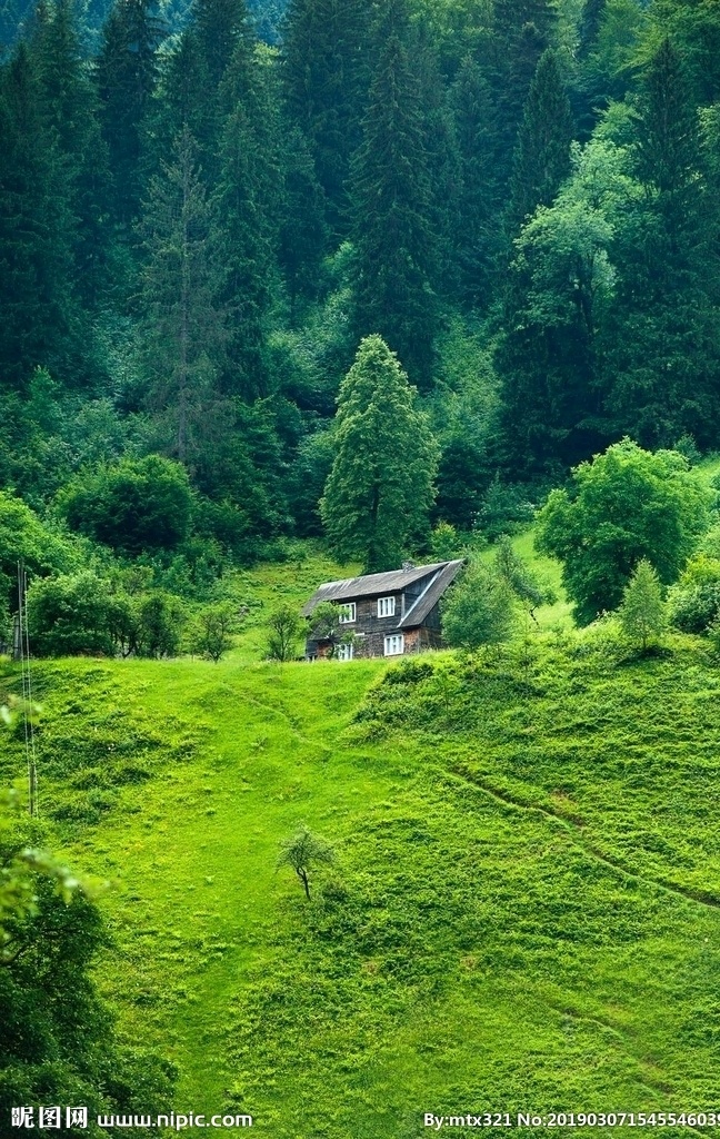 山林 草地 树木 房屋 葱翠 自然景观 田园风光