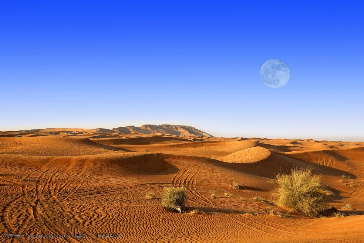 蓝天下的沙漠 蓝天 沙漠 生物 干涸 干涸的沙漠 自然景观 自然风景