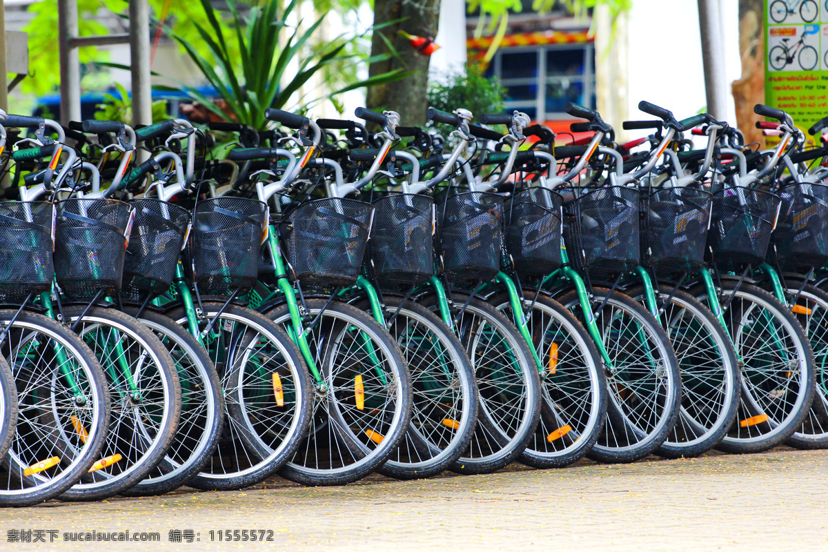 整齐 排列 自行车 公共自行车 城市交通 交通工具 汽车图片 现代科技