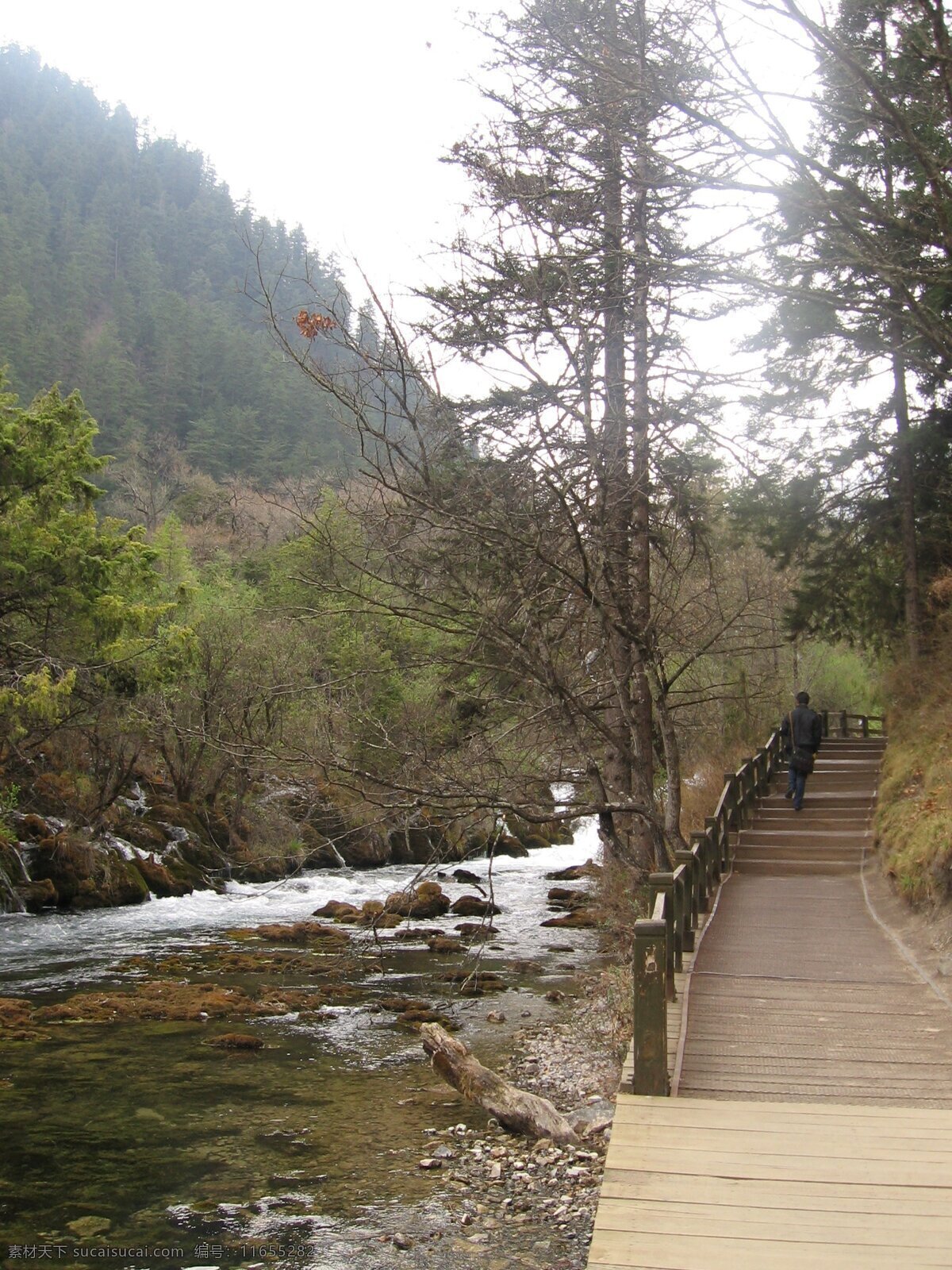 九寨沟 栈道 溪流 小溪 树木 树丛 山峦 薄雾 山水风景 自然景观