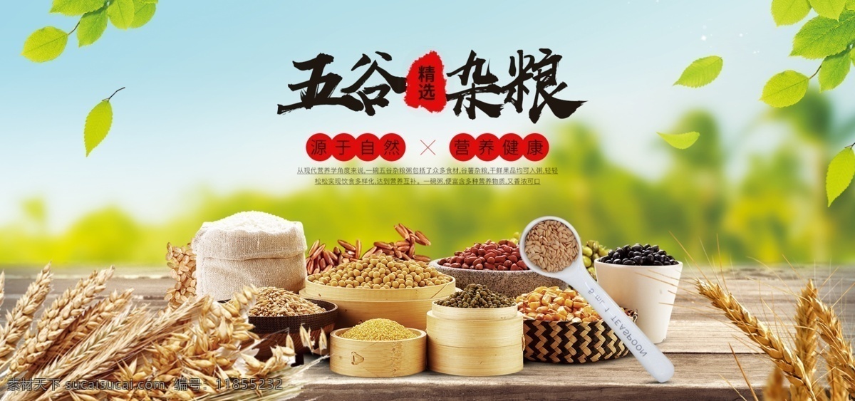五谷杂粮 五谷 杂粮 谷类 谷 分层