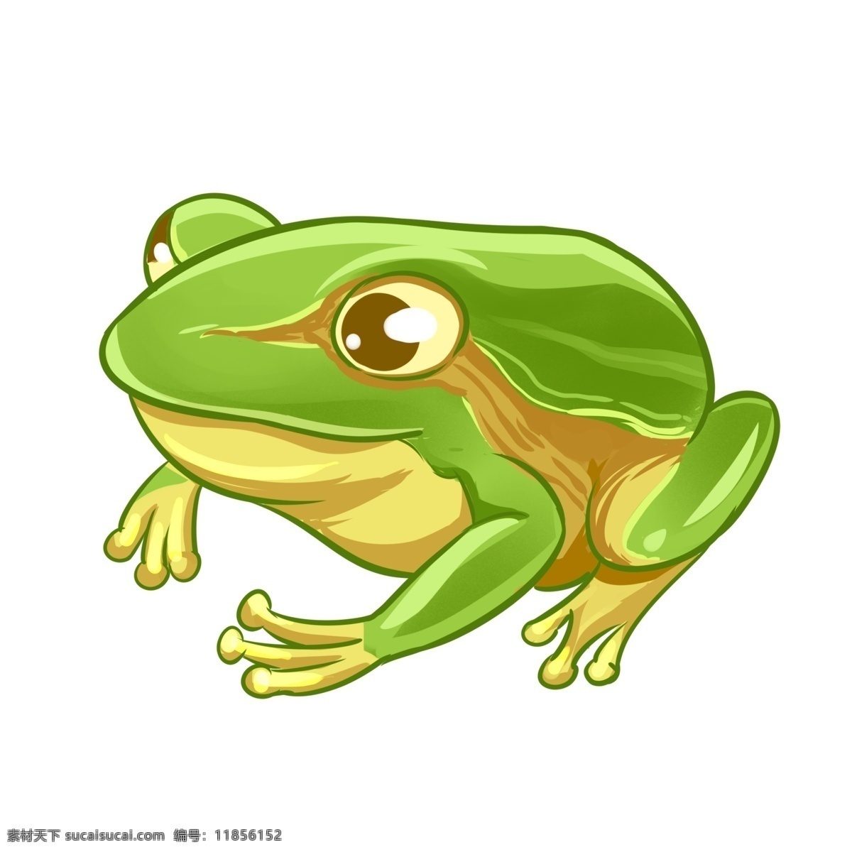 卡通动物青蛙 卡通 手绘 青蛙 动物 卡通设计