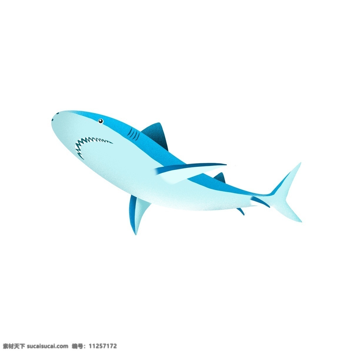 卡通 简约 只 海豚 蓝色 插画 海洋生物