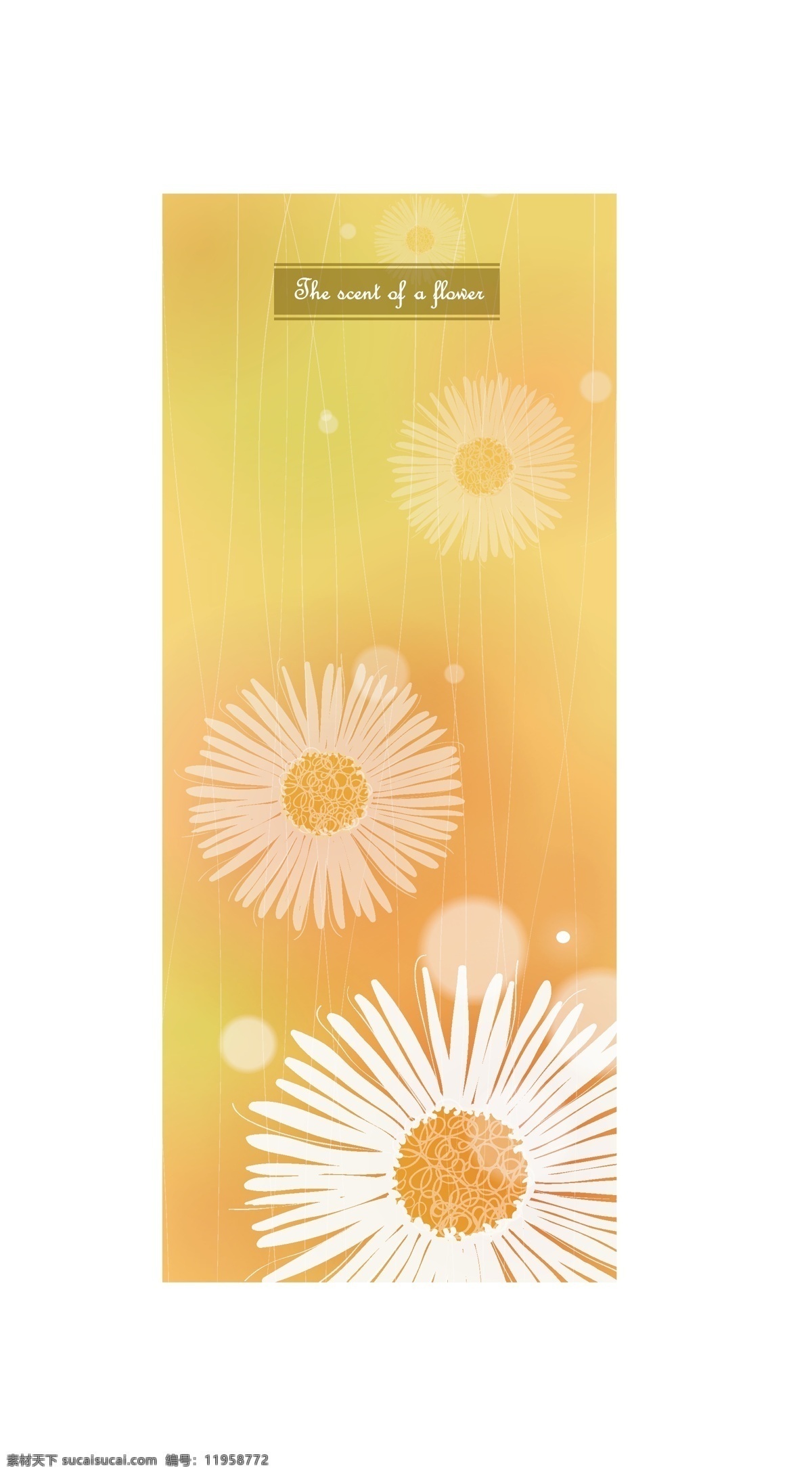 矢量 花卉 图案 精品 创意素材 底纹边框 花边花纹