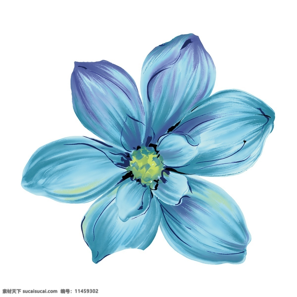 蓝色 高贵 水彩 花卉 卡通素材 花朵 透明素材 免 扣