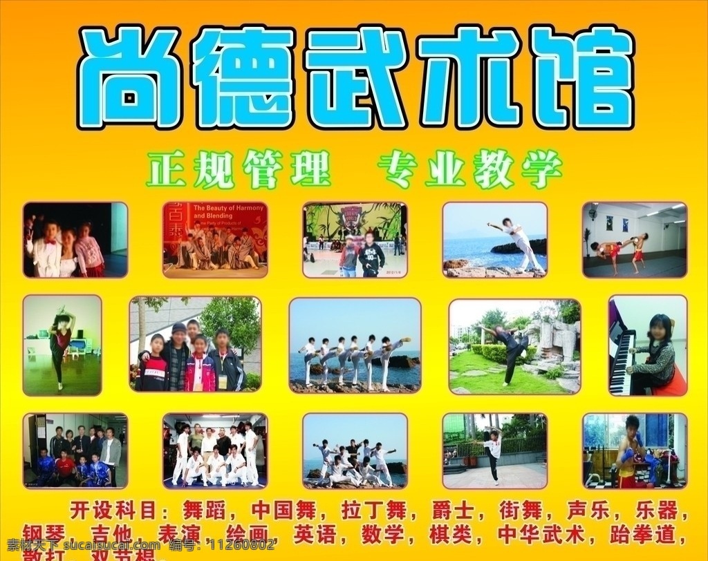 武术馆招生 武术馆 武道 武道招生 明星 武术 武馆 矢量