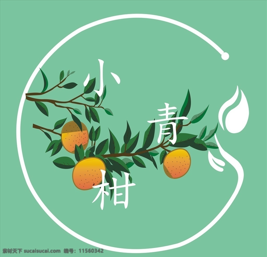 小青 柑 logo 陈皮 图标 标签 标志图标 网页小图标