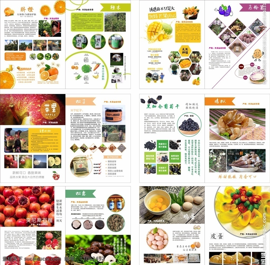 水果 农产品册子 水果册子 画册内页 特产画册 水果简介 折页 画册设计