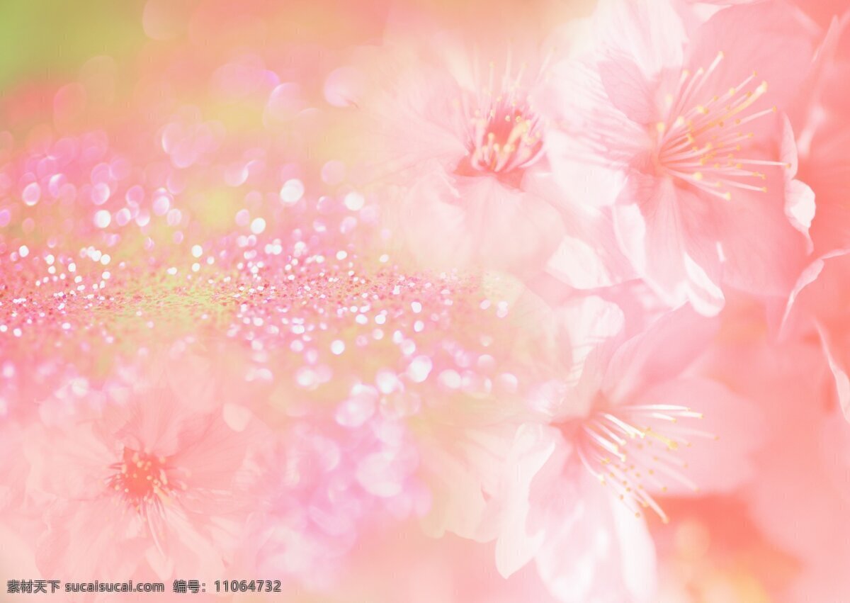 粉色花朵底图 粉色花朵 粉色地图 粉色背景 花朵背景 花朵底图
