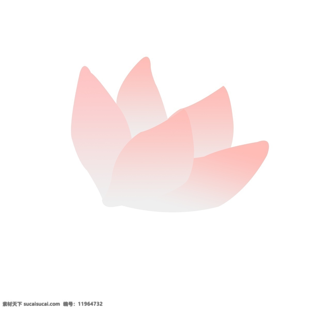 粉色莲花装饰 粉色 莲花 海报装饰 花朵