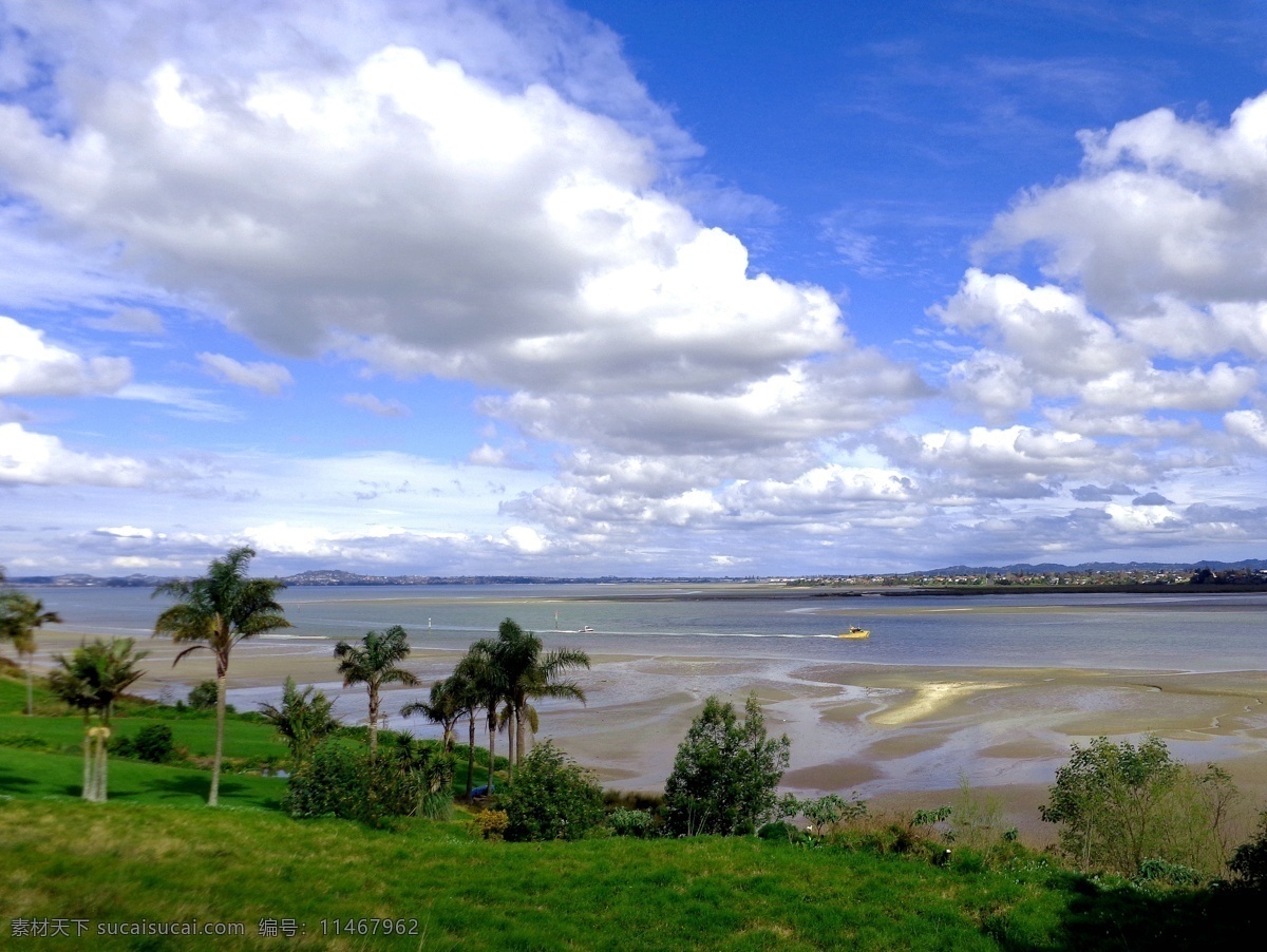 新西兰 海滨 自然风景 蓝天 白云 云朵 远山 大海 海水 海湾 海滩 山坡 绿树 棕榈树 绿地 草地 风光 自然景观
