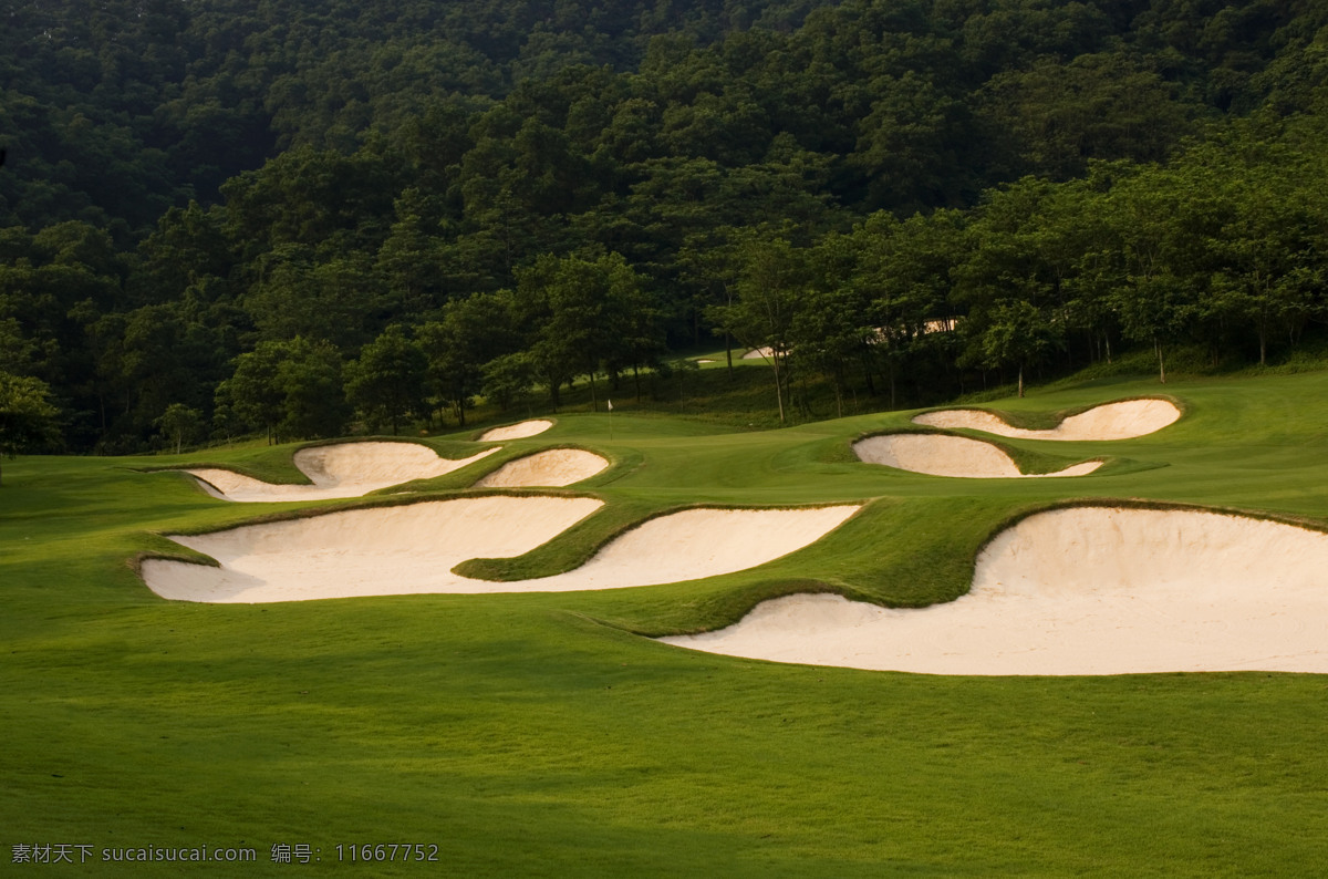 高尔夫 球场 高球 绿地 果岭 高尔夫图片 自然景观 自然风景