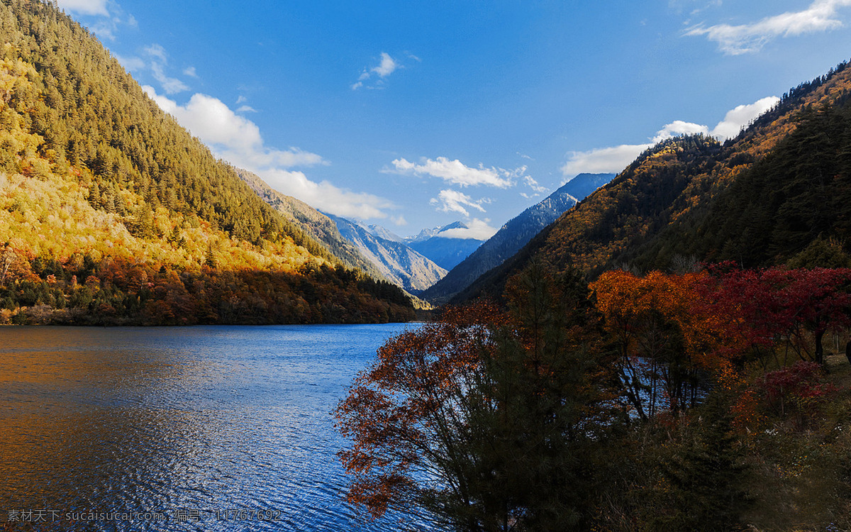 九寨沟秋景 九寨沟 诺日朗瀑布 湖泊 九寨沟景区 国家级景区 自然保护区 高原风光 文化自然 风光秀丽 蓝天白云 摄影风光 旅游摄影 国内旅游 岷山 原始森林 风景名胜区 5a级景区 高山湖泊 天池 瀑布 美艳绝伦 珍珠滩瀑布 珍珠滩 金铃海 天鹅海 黑海 蓝天 白云 远山 绿树 森林 自然景色 自然风景
