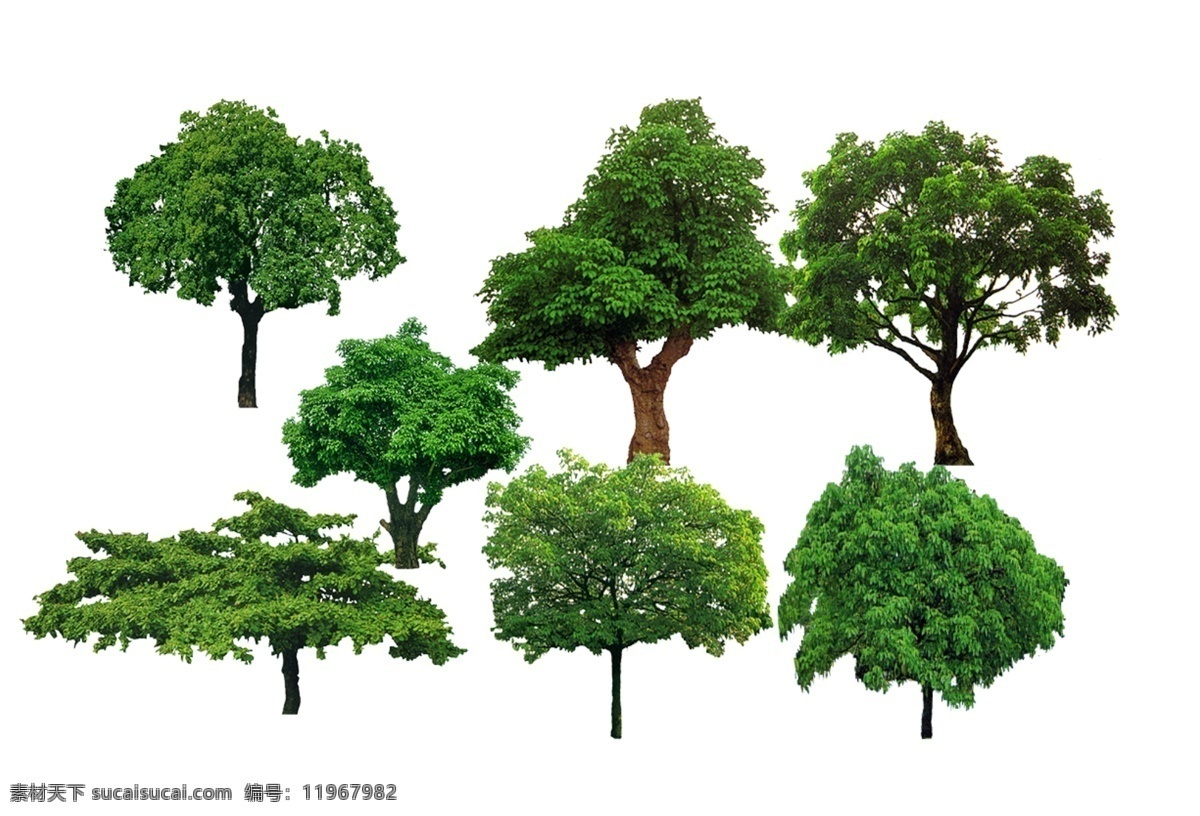 树背景素材 透明树 树元素 大树素材 矢量树素材 卡通树素材 底纹边框 其他素材