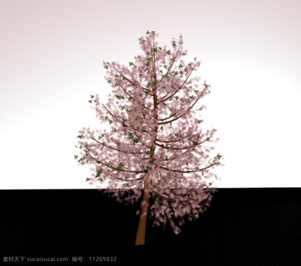 春天 日本 樱花树 樱花树模型 3d模型 立体模型 树木模型 植物模型 3d设计 其他模型 max