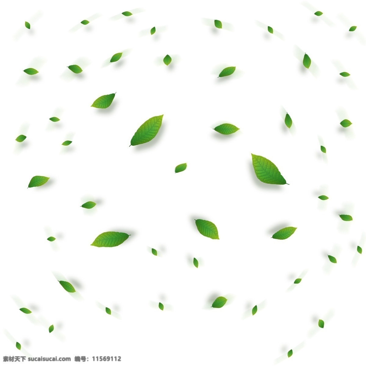 植物 树叶 叶子 漂浮 气氛 电商 装饰 免 抠 商用 前景 免抠 绿色 绿叶 旋转