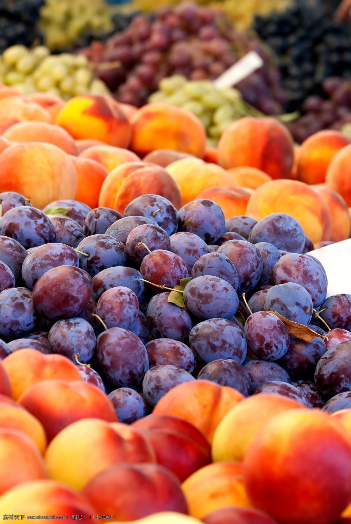 蓝莓 水果 水果图片 水果店 蔬菜水果 水果背景 新鲜水果 生物世界
