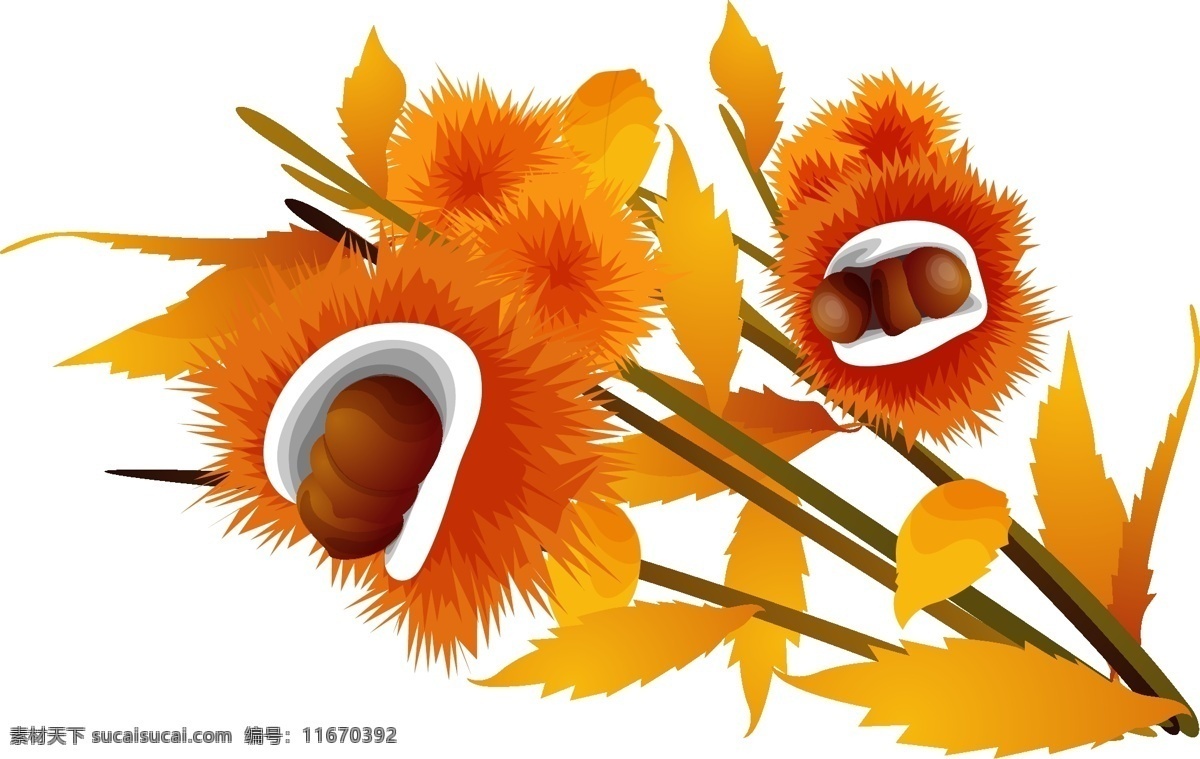 各种 逼真 精美 花草 花草矢量图 生物 世界 矢量 矢量图 其他矢量图