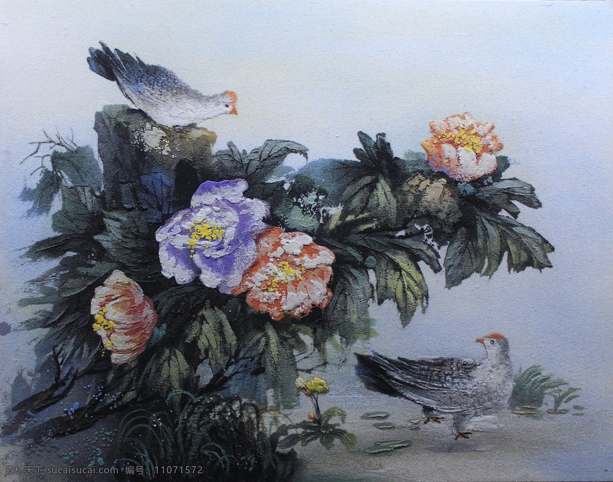 鸽子 绘画书法 肌理 牡丹 手绘 文化艺术 无框画 湘西沙石画 沙石画 植物 灰鸽 装饰画 沙岩画 油画 艺术品 张家界 湘西 装饰素材