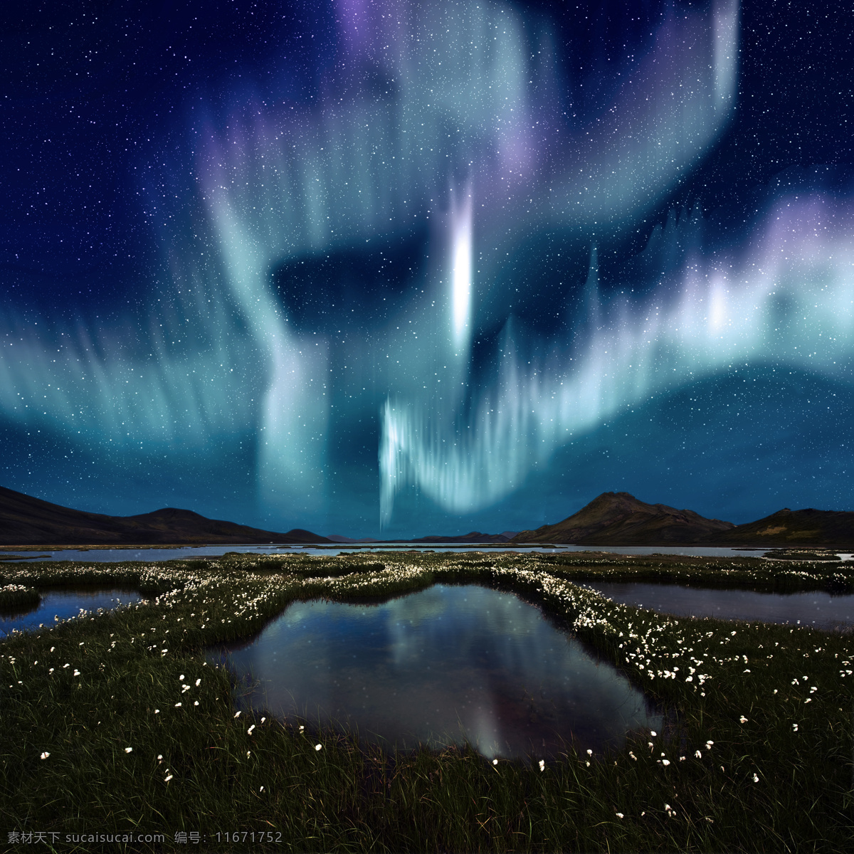 夜晚 萤火虫 天空 草地 野草 湖水 山水风景 风景图片