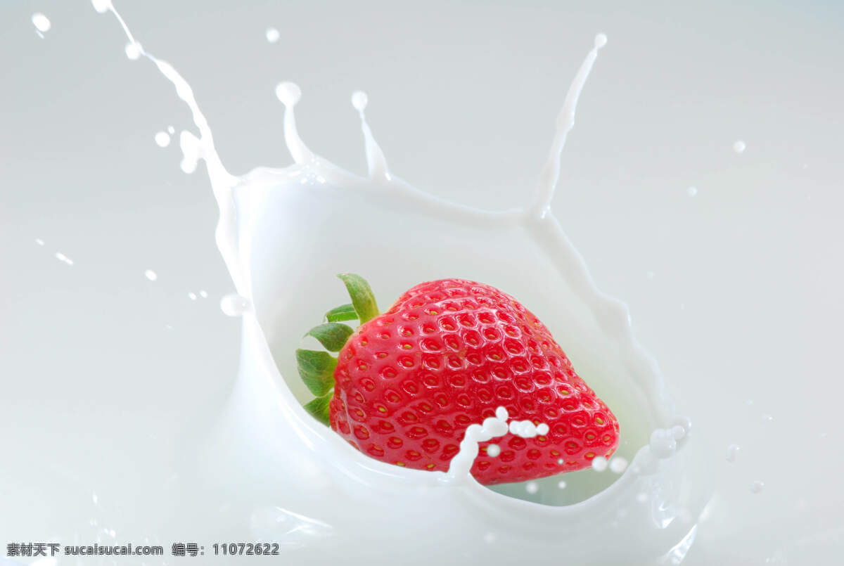 草莓 牛奶 生物世界 水果 新鲜水果 营养 高清水果图 健康水果
