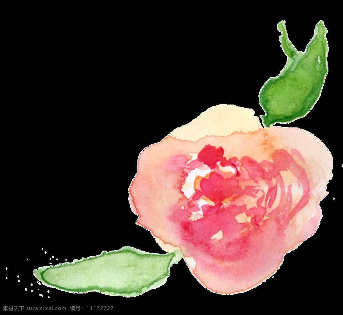 水 嫩 花蕾 透明 装饰 粉色 花朵 免扣素材 透明素材 装饰图案