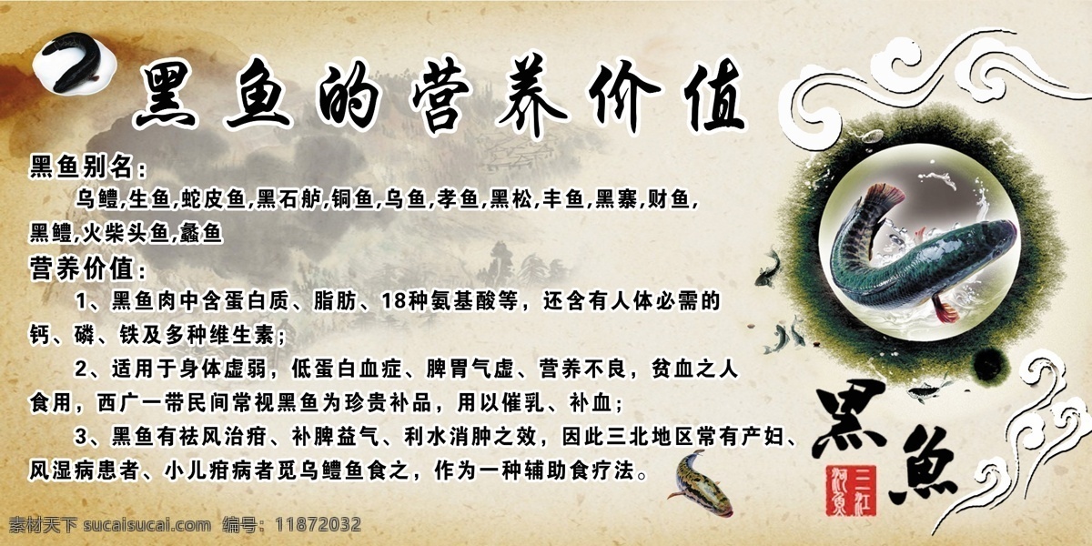 黑鱼 营养 价值 黑鱼图片 黑鱼写真 祥云图 黑色背景 分层 源文件