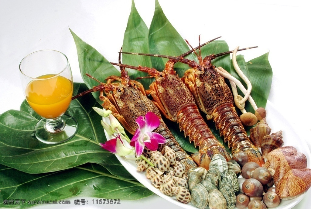 小海鲜 龙虾仔 田螺 花蛤 香螺 芒果贝 食物原料 餐饮美食