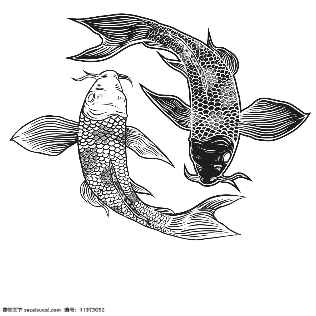 鲤鱼 插画 图案 风水鱼 鲤鱼线稿 鲤鱼纹身图案 中国风鲤鱼 鲤鱼绘画 鲤鱼插画 鲤鱼图案 中式鲤鱼 鱼类 风水装饰 鲤鱼插画图案
