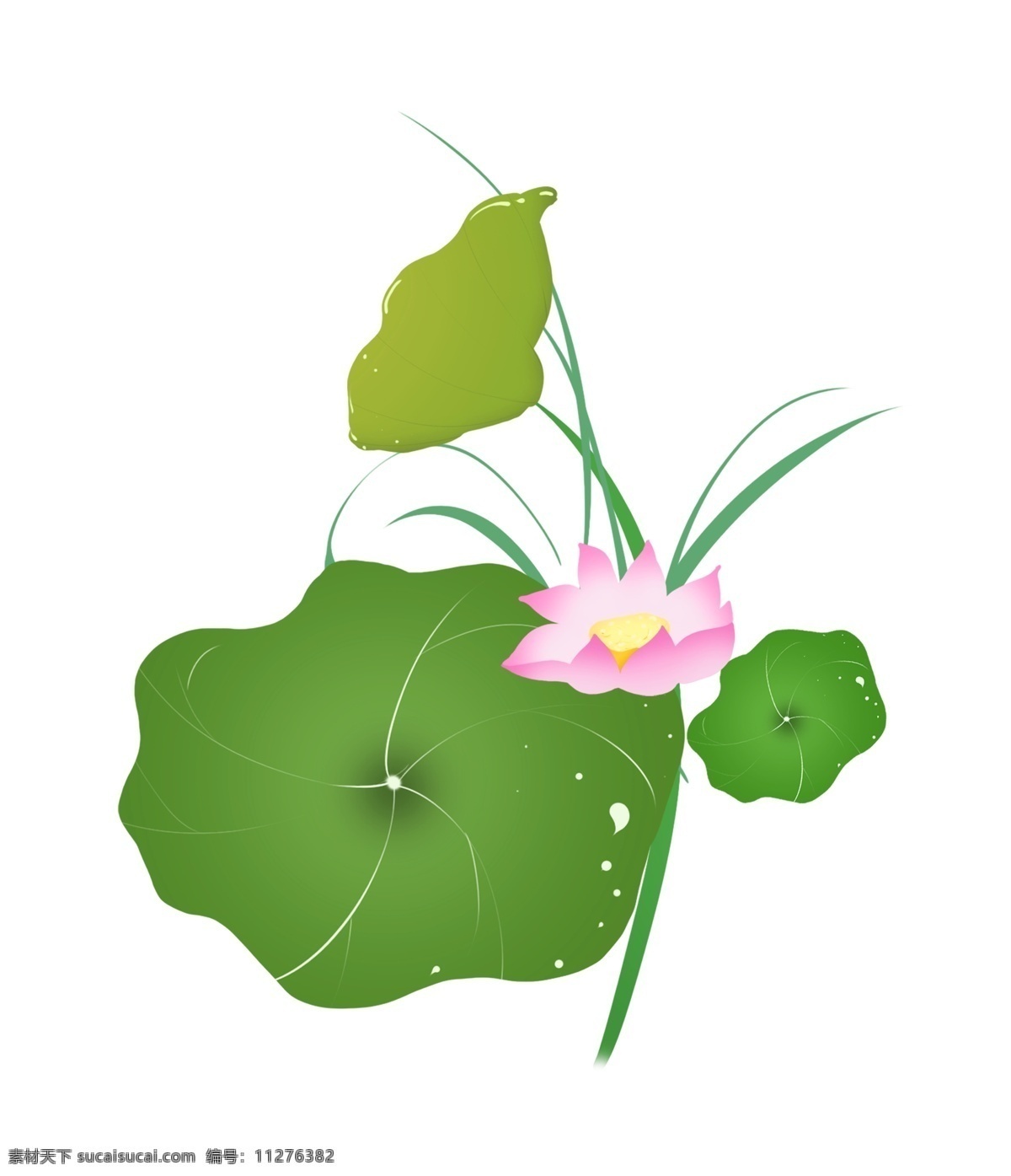 精美 的卡 通 荷花 插画 唯美的荷花 绿色的荷叶 盛开的荷花 卡通植物插画 花朵 植物 创意植物插画