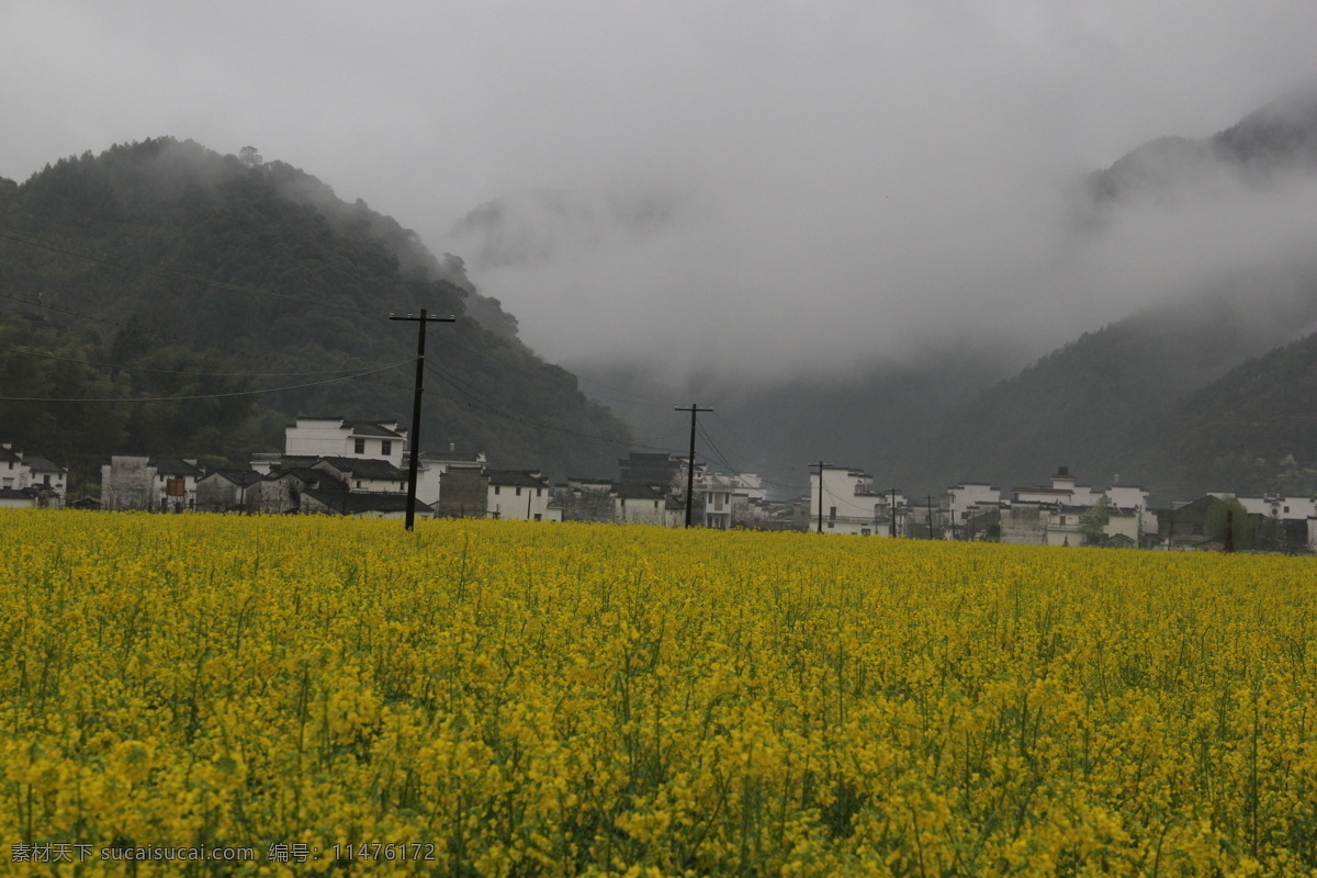 婺源风光 婺源风景 乡村自然风光 婺源 油菜花 婺源摄影 婺源游记 江西婺源 乡村摄影 古镇 小镇 乡村 田园风光 古徽州 风景 江西风景 婺源油菜花 旅游摄影 国内旅游