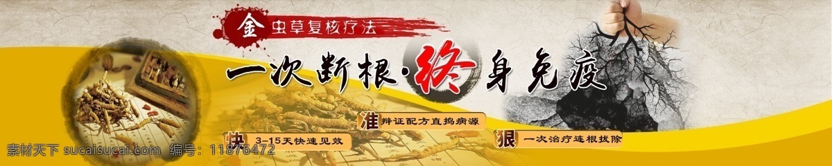 次 断根 终身 免疫 古典 快 中医 准 狠 金虫草 原创设计 原创网页设计