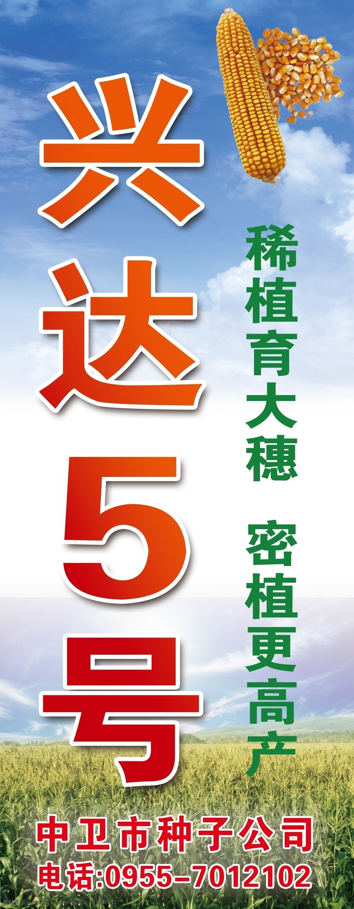 兴达 号 注水 旗 玉米品种 兴达5号 注水旗 种子公司 广告宣传 展示类