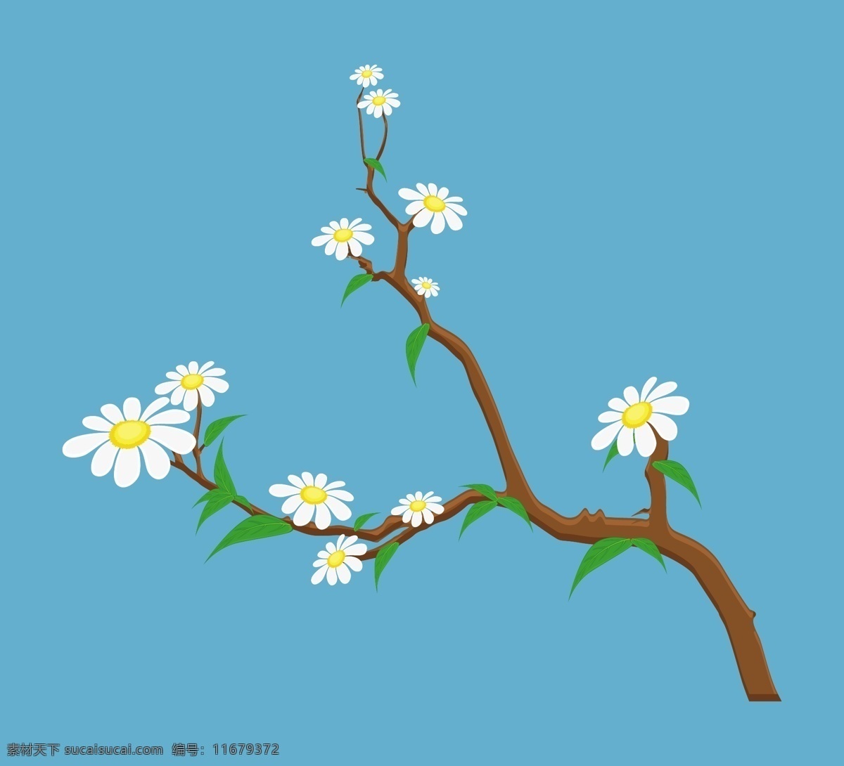 白色 花朵 树枝 青色 天蓝色