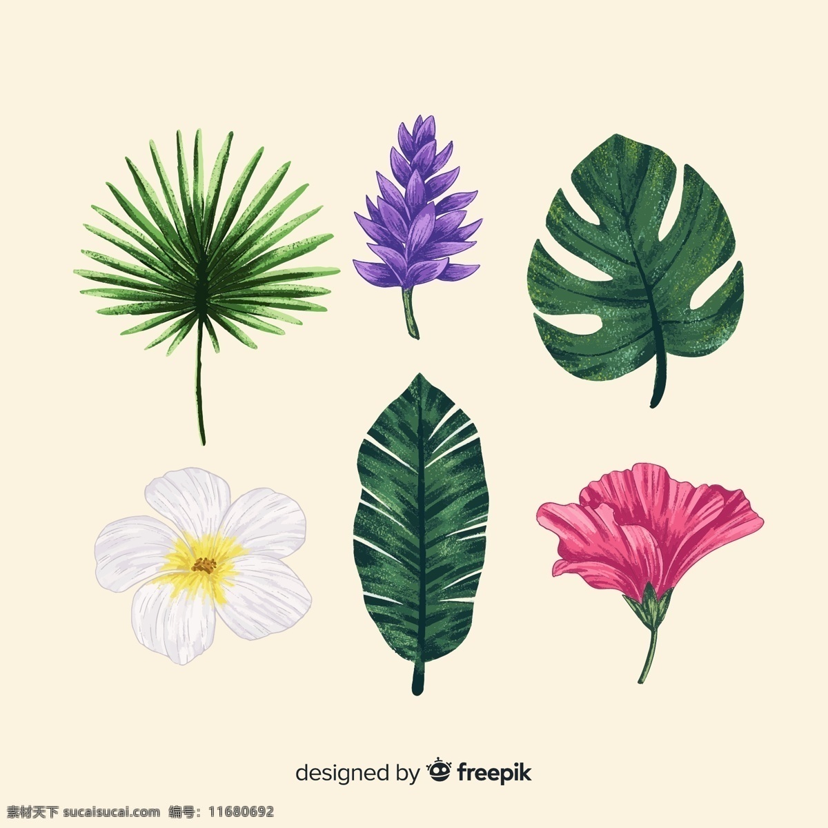彩绘 热带 花朵 树叶 芭蕉叶 植物 生物世界 树木树叶