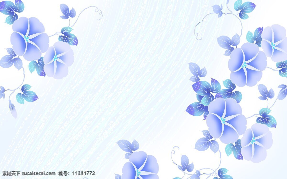 牵牛 背景 花朵 蓝色 背景图片