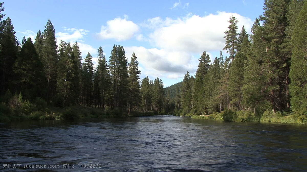 俄勒冈 metolius 河 股票 录像 流动 瀑布 视频免费下载 树 松树 自然 流 水 其他视频