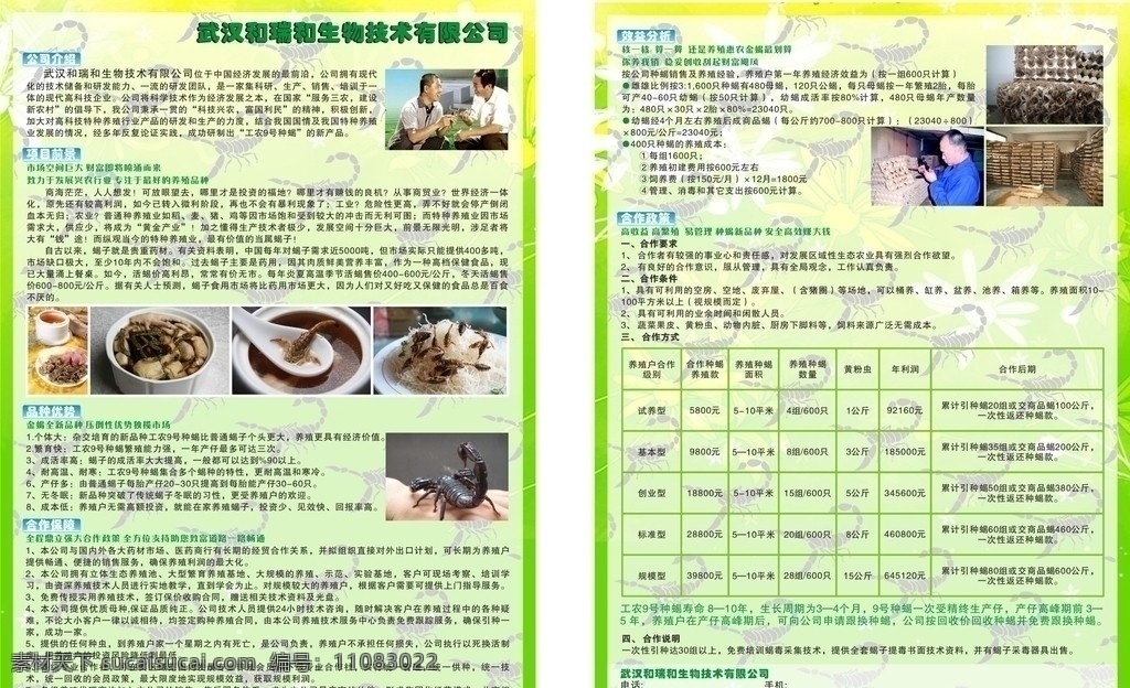 蝎子养殖传单 蝎子养殖 加盟传单 绿色传单 工农9号蝎子 羊蝎子 dm宣传单 矢量
