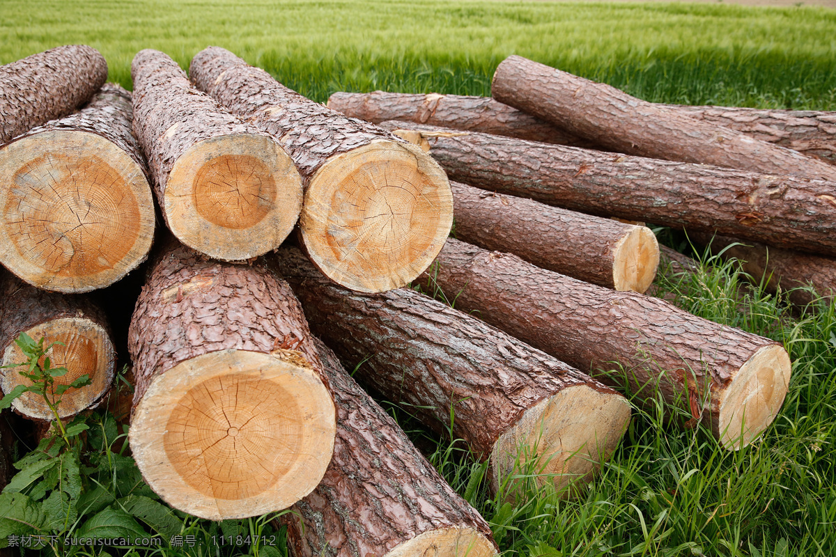 堆 一起 木头 材质 木材 木头材质 木头背景 花草树木 生物世界