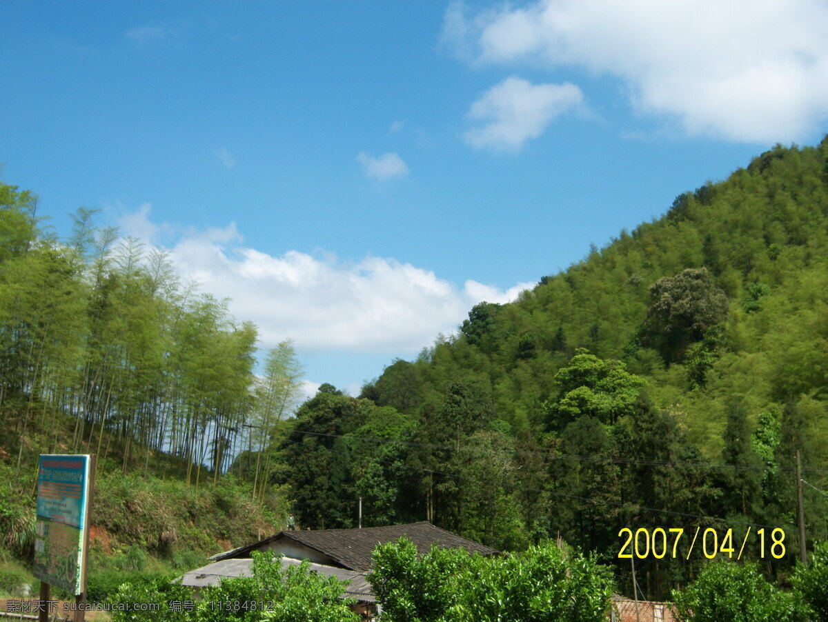 竹 景 竹林 竹子 自然风景 自然景观 竹景 矢量图 日常生活