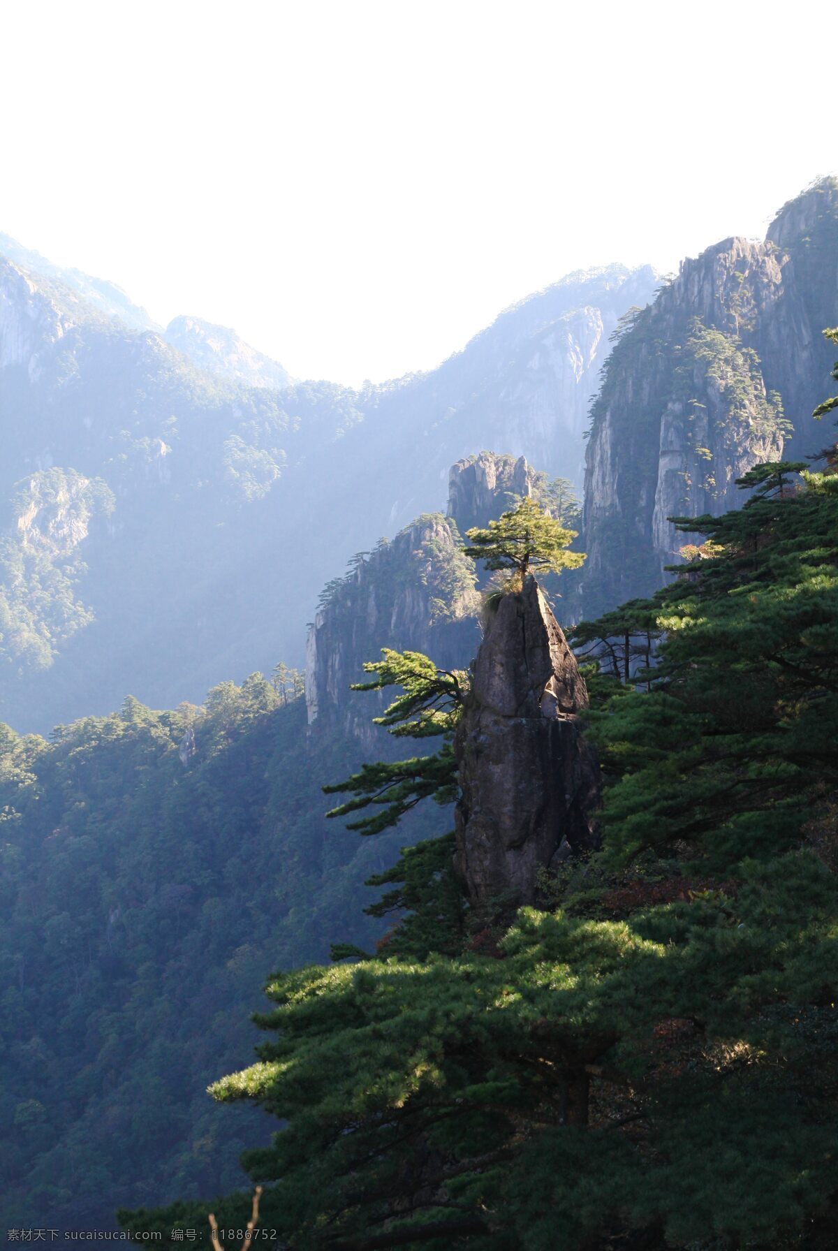 黄山 安徽 山麓 树木 蓝天 旅游摄影 国内旅游