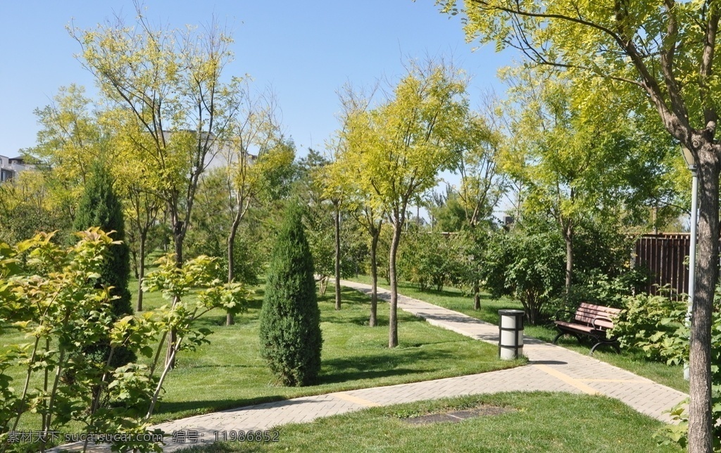 公园植物景观 公园 植物景观 园林植物 绿化 树木 自然景观 自然风景