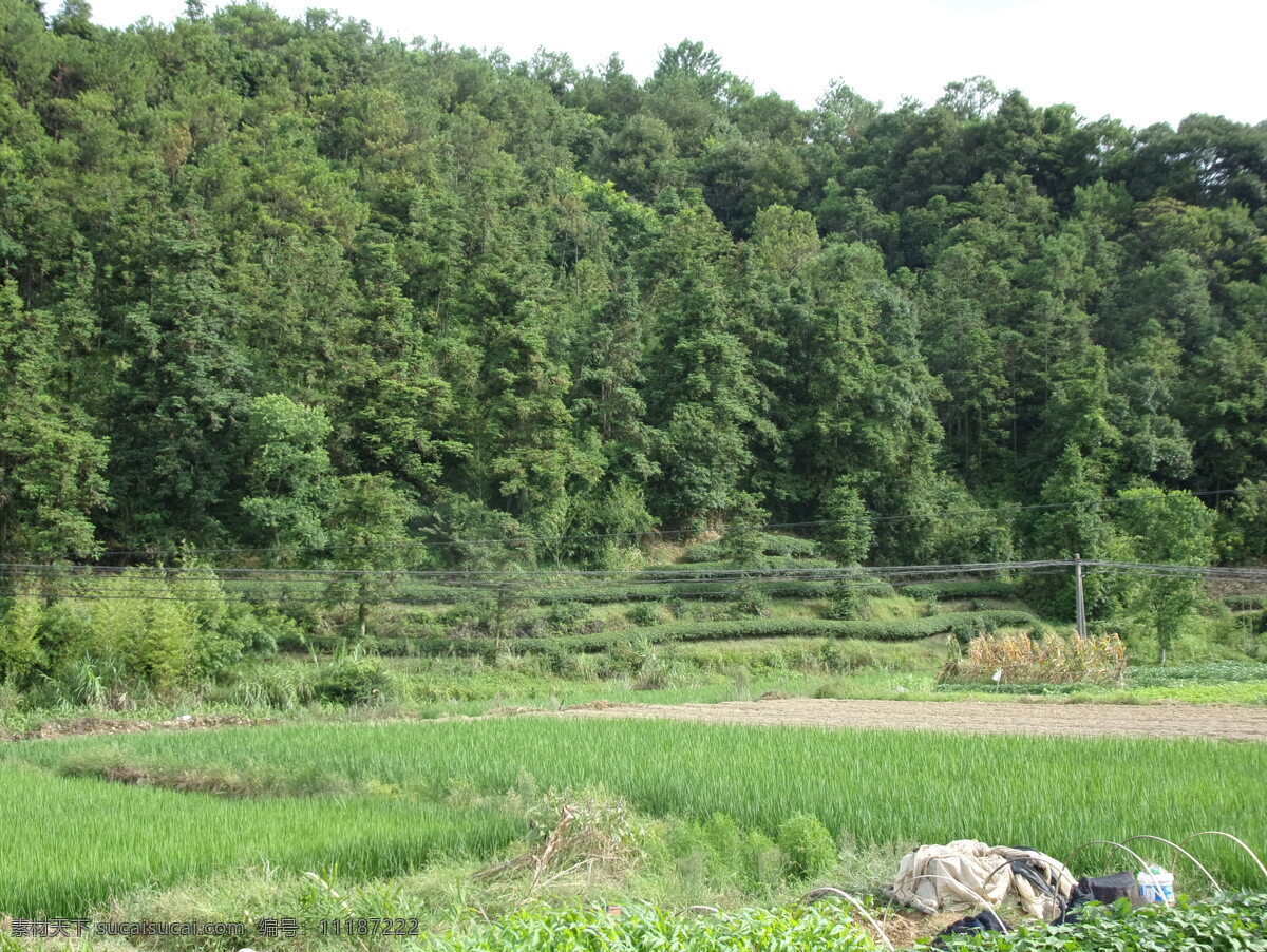 福建 连江 长龙 风景 田园 旅游摄影 国内旅游